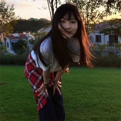 七彩狗